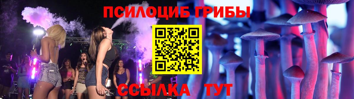 Псилоцибиновые грибы MAGIC MUSHROOMS  Вход с VPN  Галлюциногенные грибы Psilocybe  Якутск 